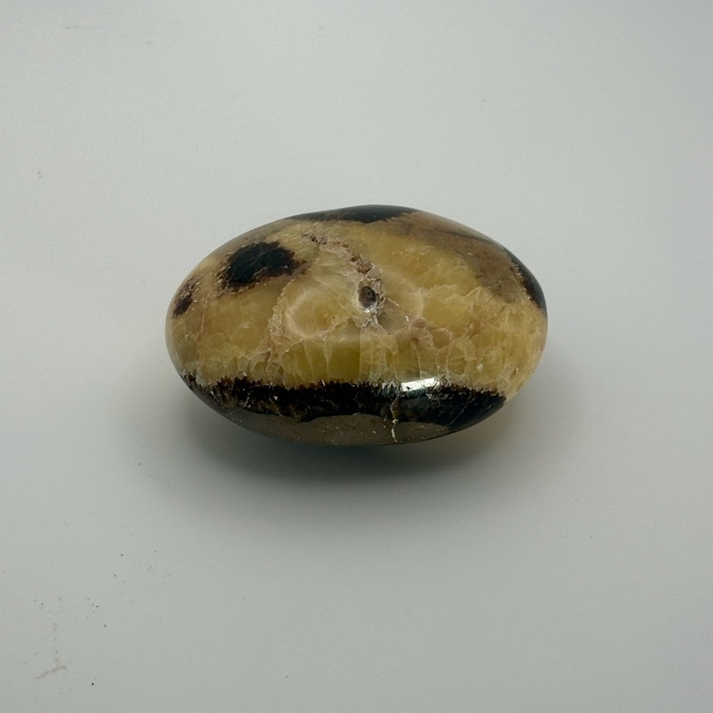 Septarian Palm Stone 🐉 Dragon Stone Crystal