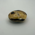 Septarian Palm Stone 🐉 Dragon Stone Crystal