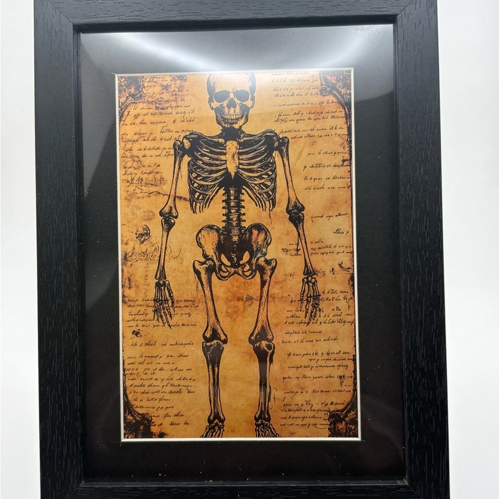 Framed Skeleton Art Print 5x7