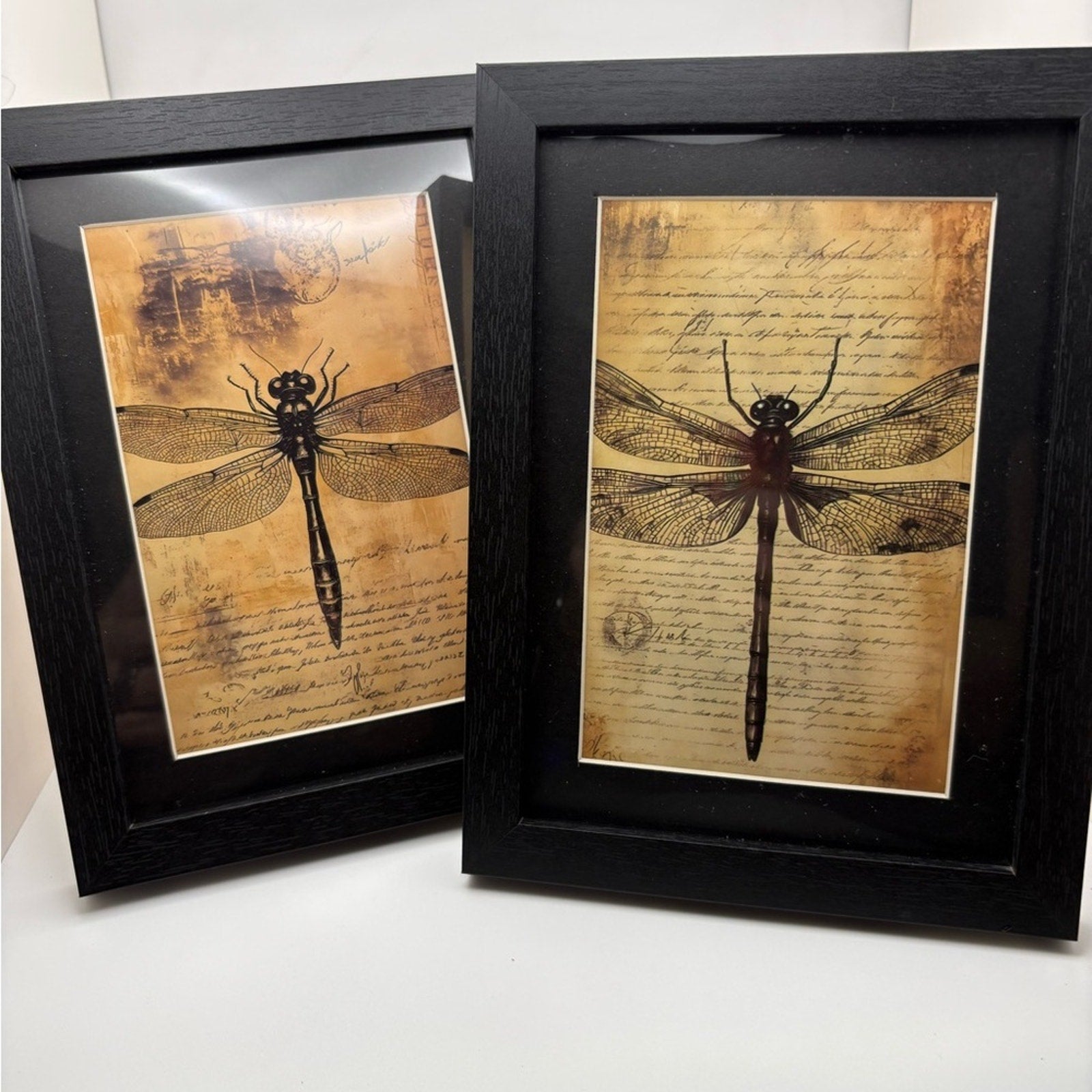 ✨ Set of 2 Framed Dragonfly Art Prints – 5x7 Vintage Style ✨