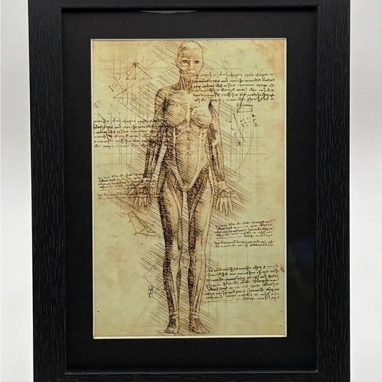 Vintage-Style Anatomical Art Print 5x7