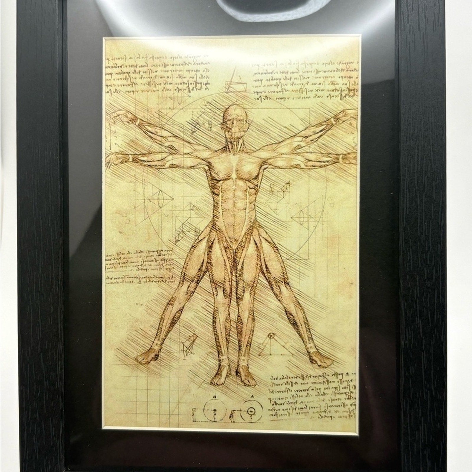 Vitruvian Man 🖤 Vintage Art Print | 5x7 | New 🖤