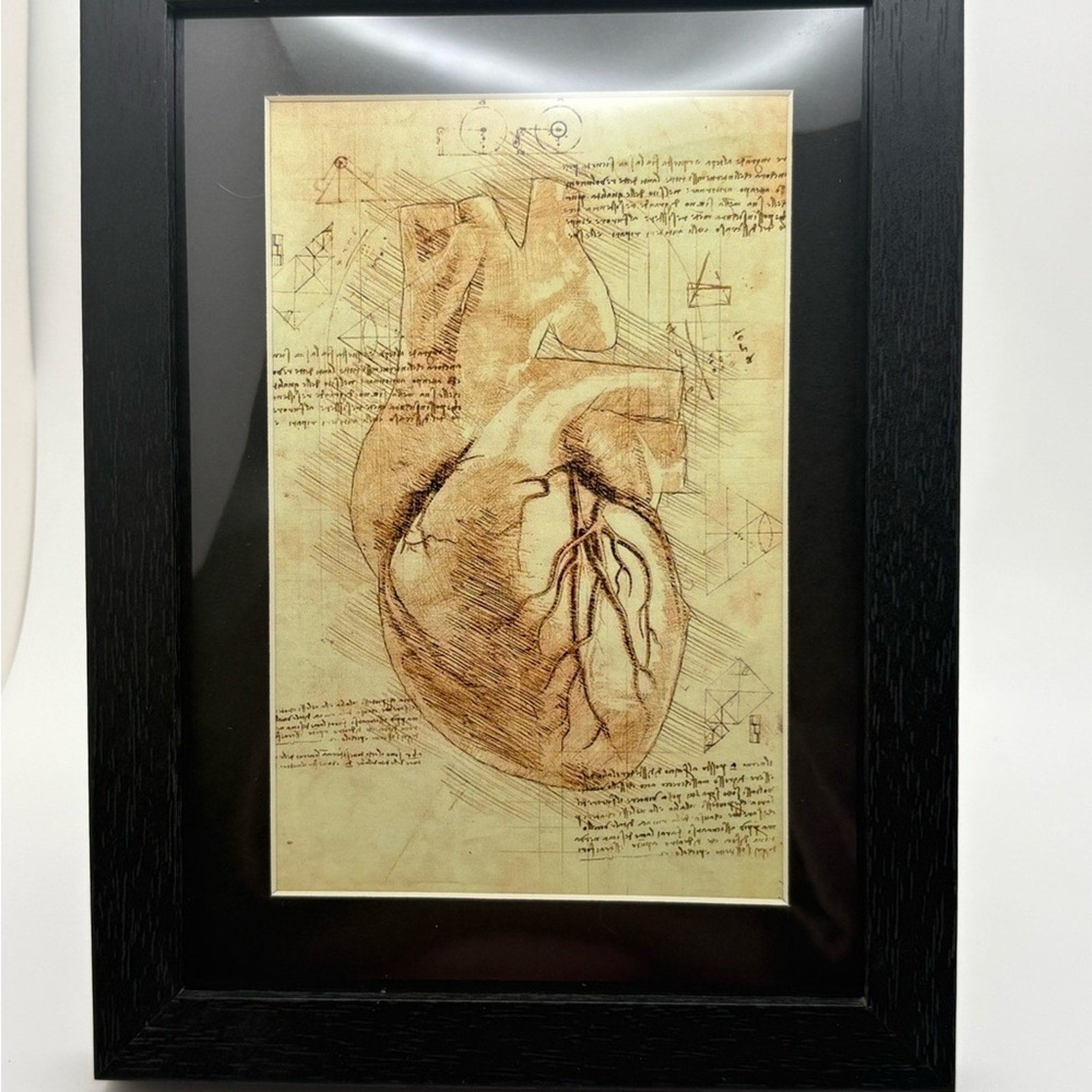 🖤 Vintage Anatomical Heart Art Print | 5x7 | New 🖤