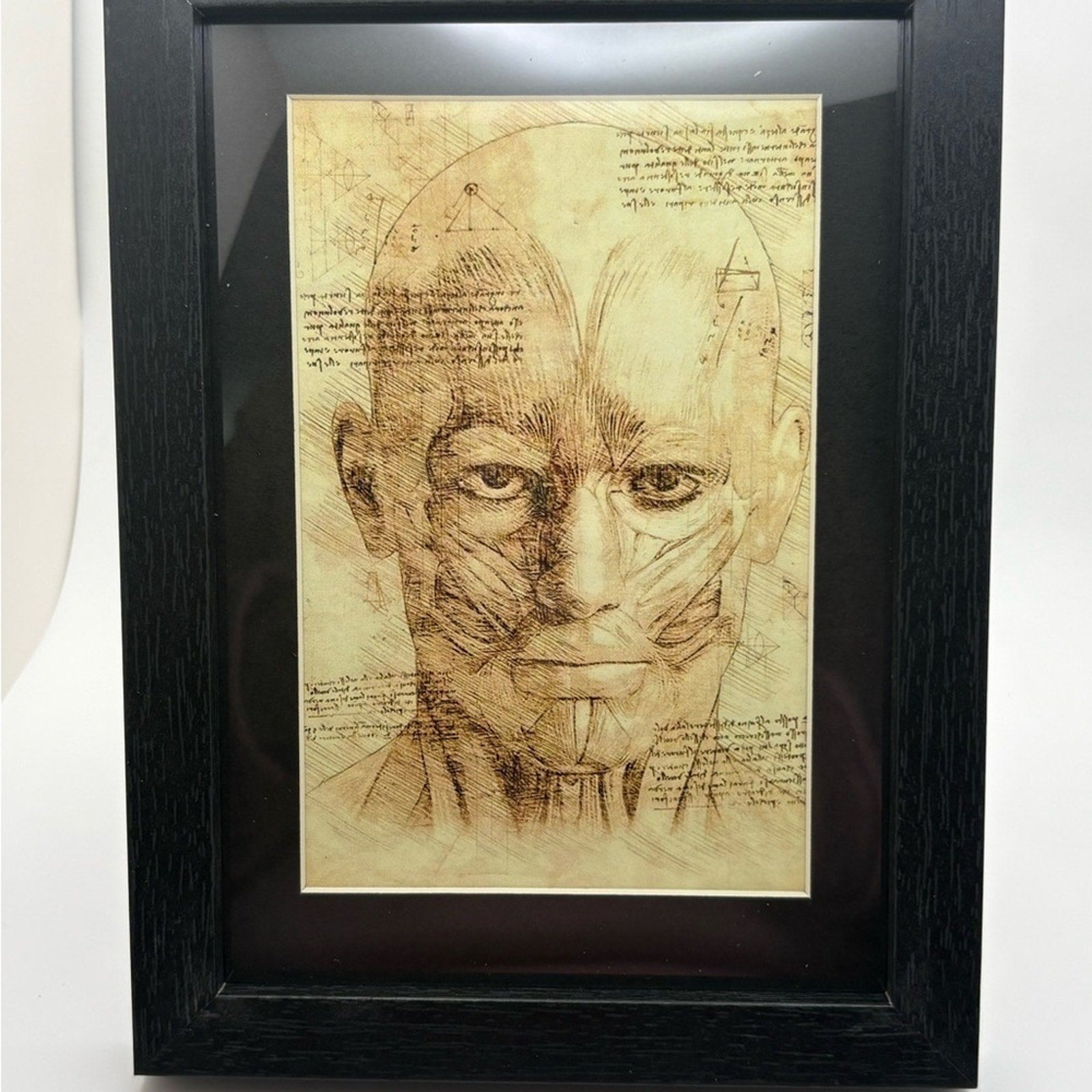 🖤 Vintage Facial Anatomy Art Print | 5x7 | New 🖤