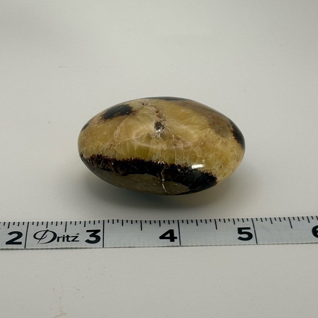 Septarian Palm Stone 🐉 Dragon Stone Crystal