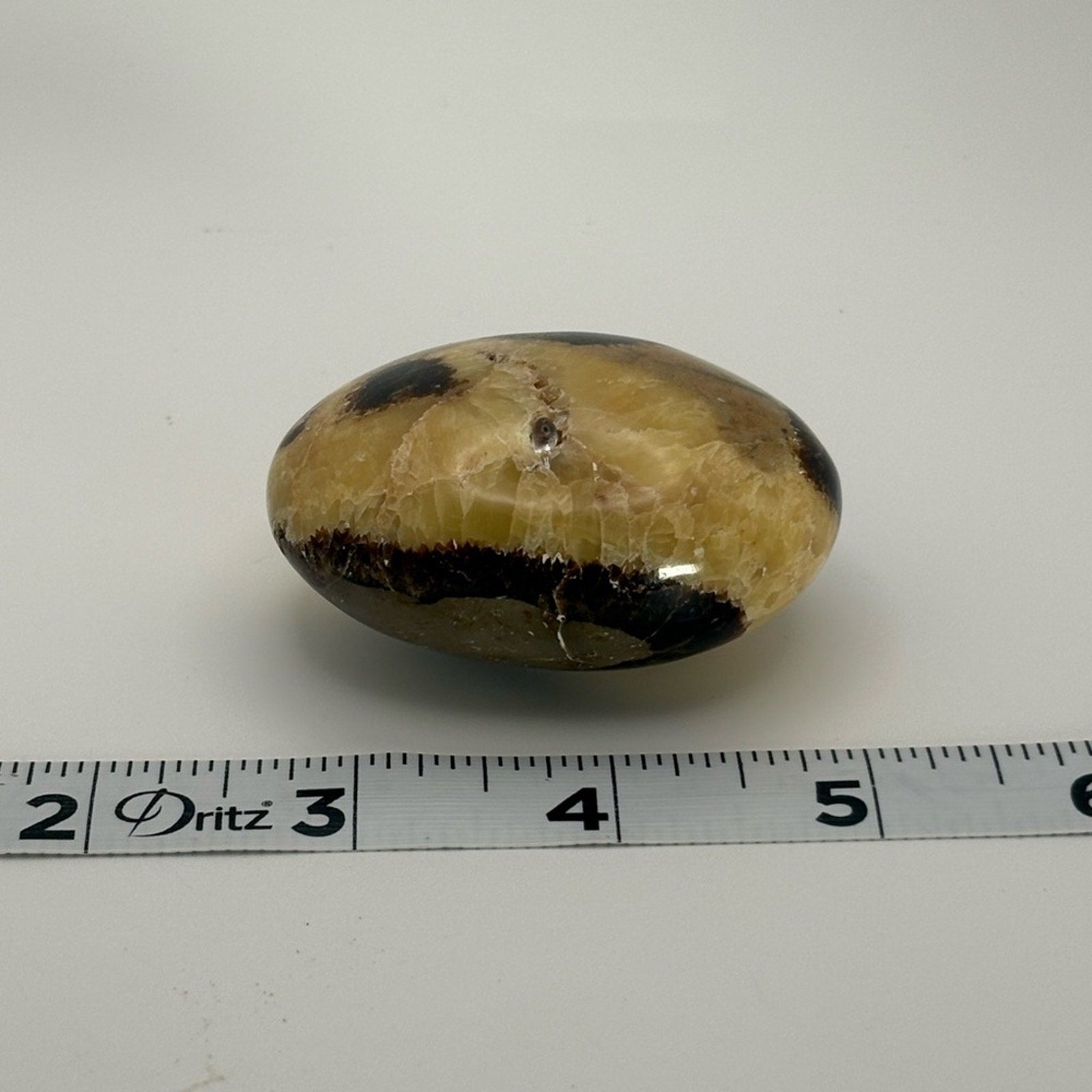 Septarian Palm Stone 🐉 Dragon Stone Crystal