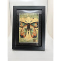 Celestial Luna Moth Art Print – Framed 5x7 Witchy Nature Decor