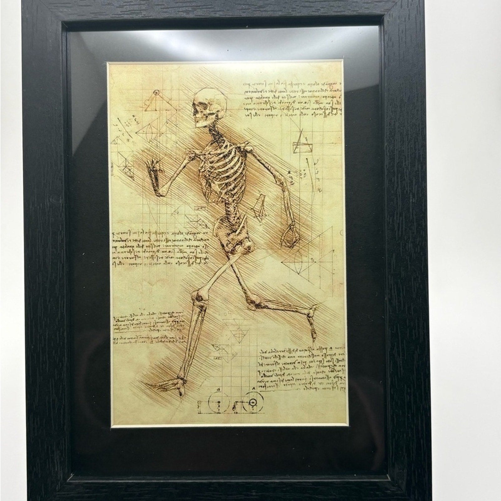 🖤 Vintage Skeleton Anatomy Art Print | 5x7 | New 🖤