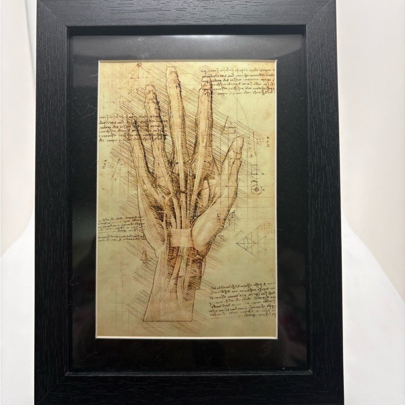📜 Vintage Anatomy Hand Illustration – 5x7 Art Print (Brand New)