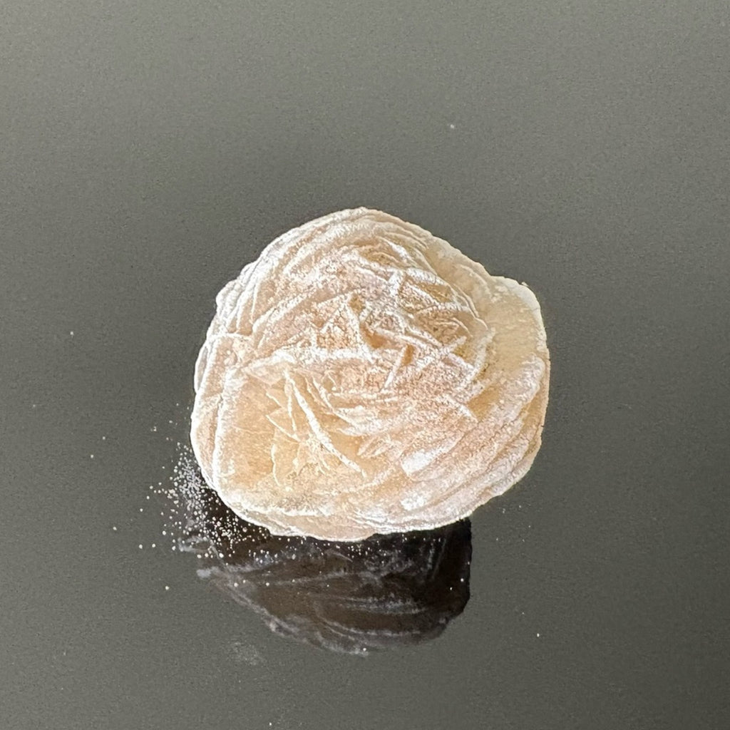 🌵 Desert Rose Selenite – Natural Crystal Formation / Mineral Specimen 🌵